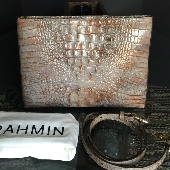 SOLD! Remy in Reisling New! - Picture 5 of 7